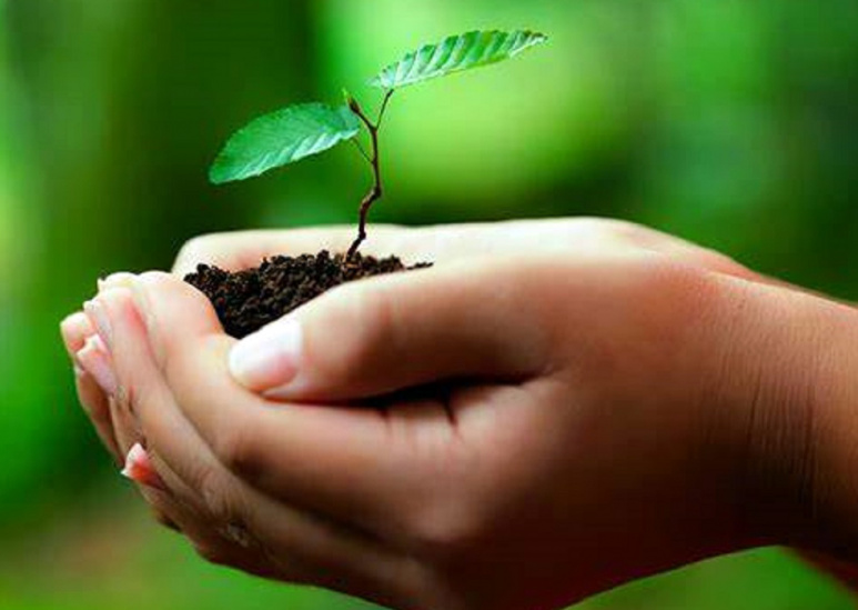 مسئولیت اجتماعی